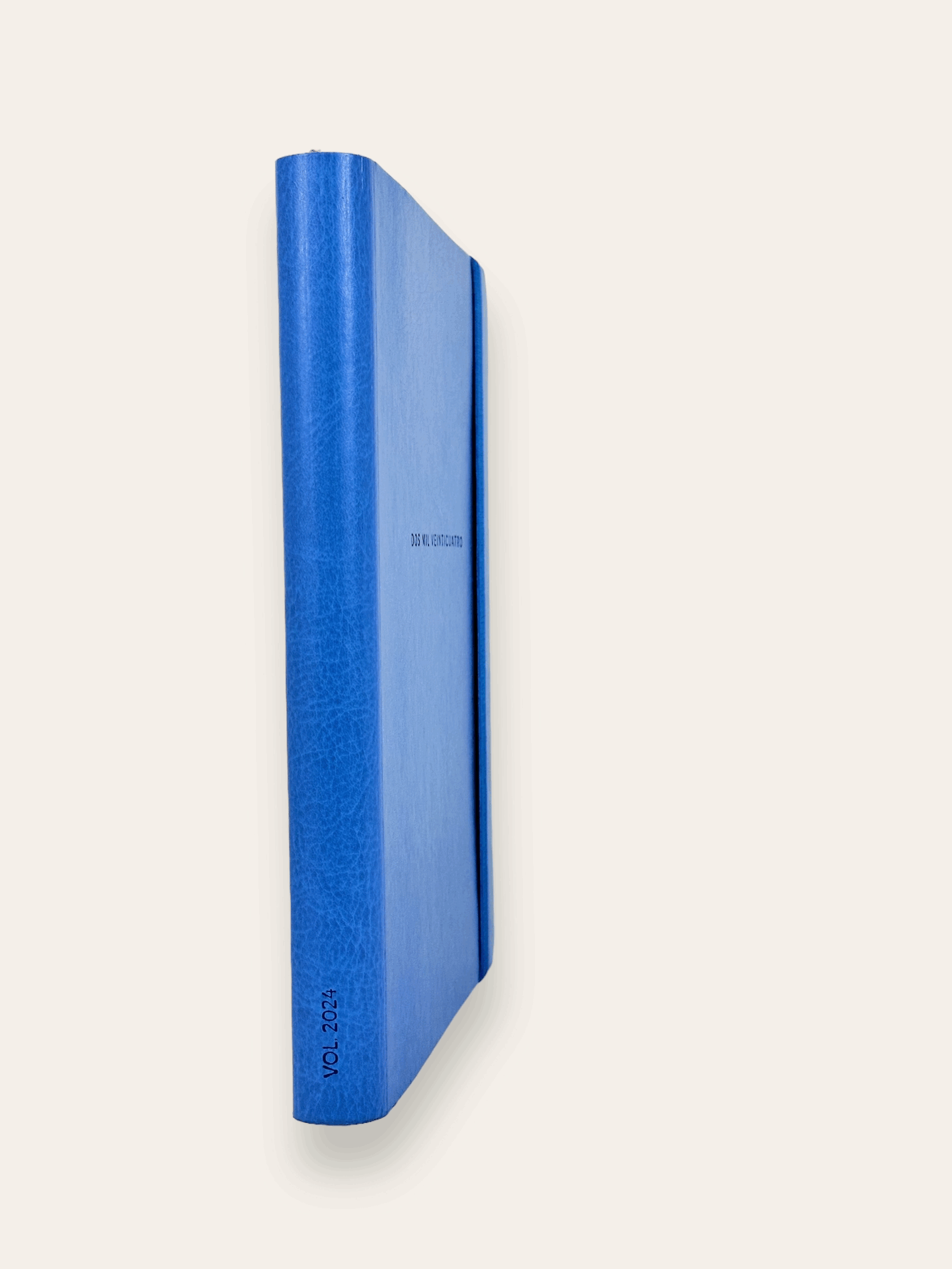 ALL-BLUE XL 2024 WEEKLY PLANNER