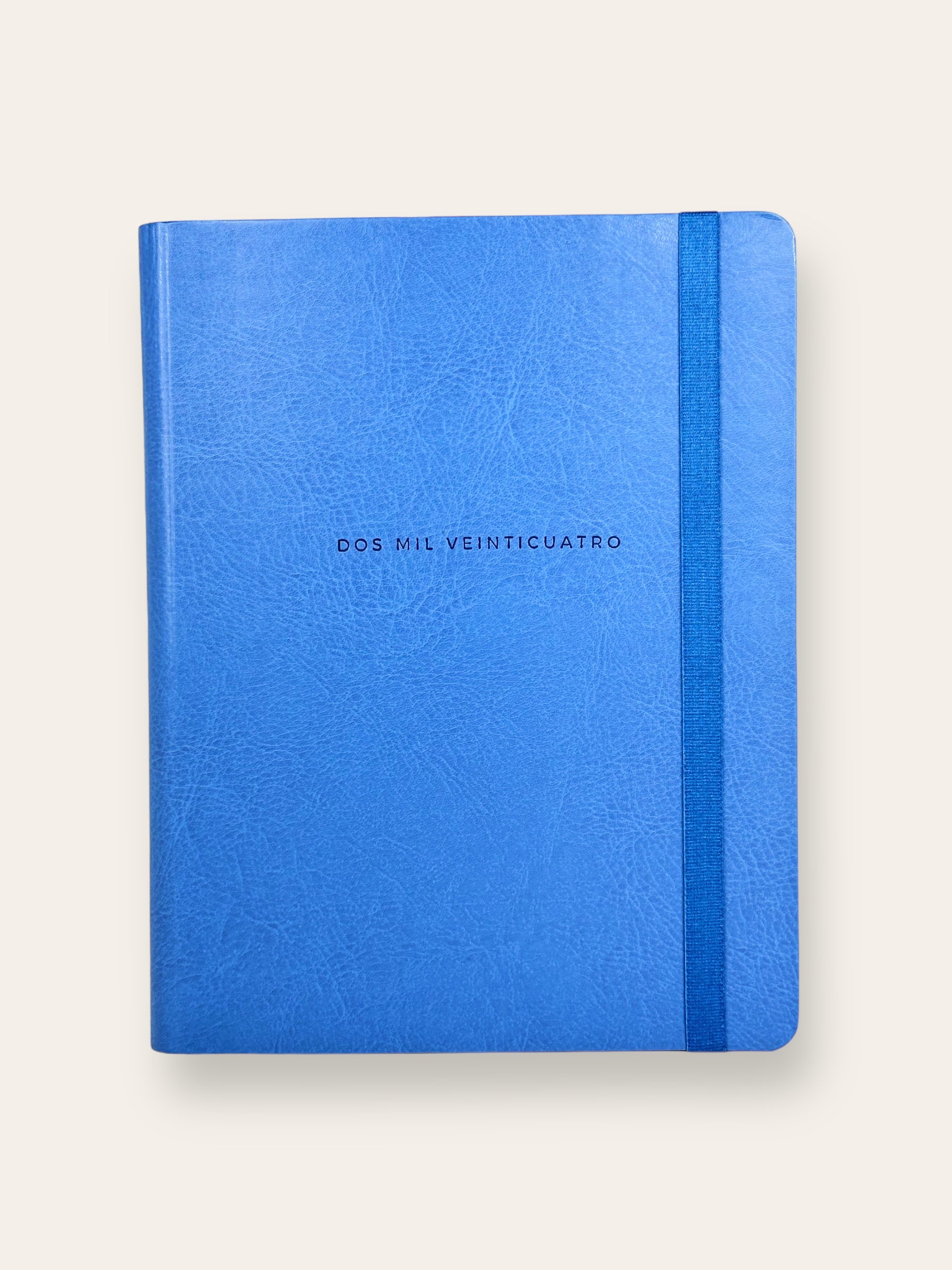 ALL-BLUE XL 2024 WEEKLY PLANNER