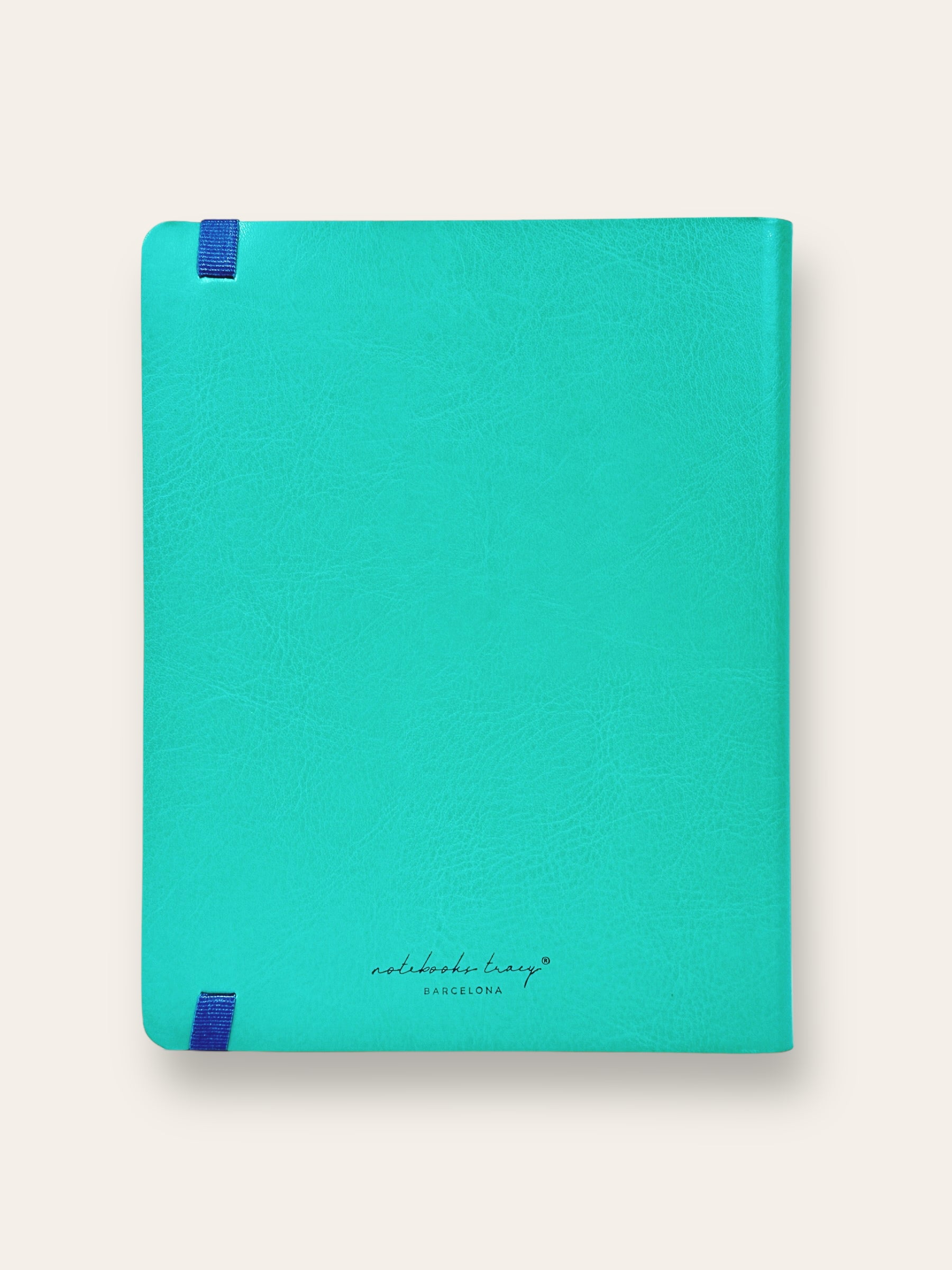 ALL-MINT XL 2024 WEEKLY PLANNER