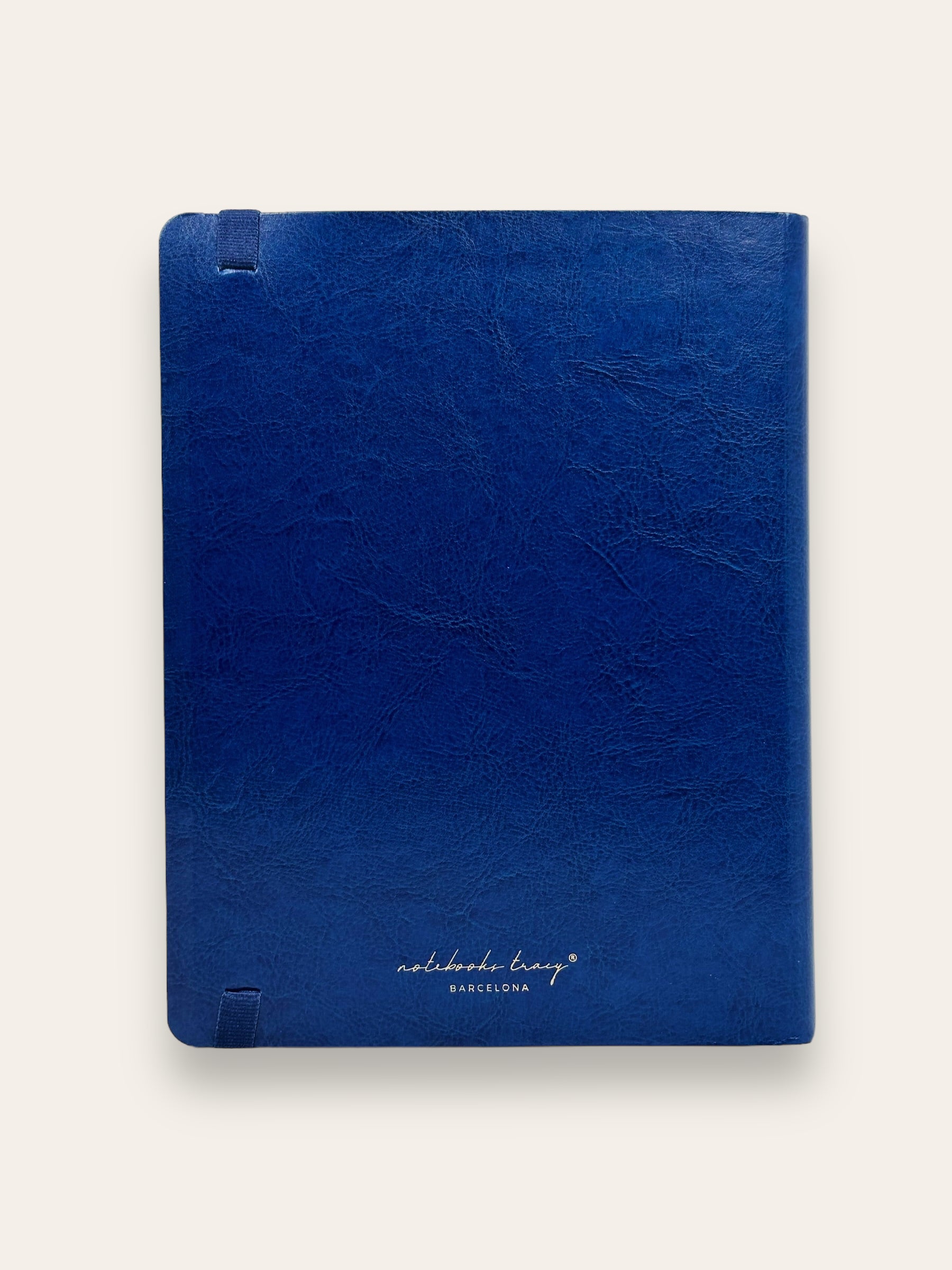 NAVY XL 2024 WEEKLY PLANNER